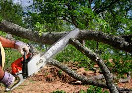 Lawn Drainage Solutions in Grenelefe, FL